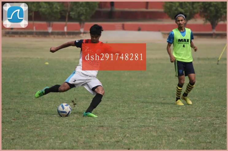 dsh291748281