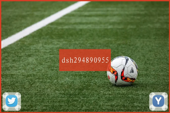 dsh294890955