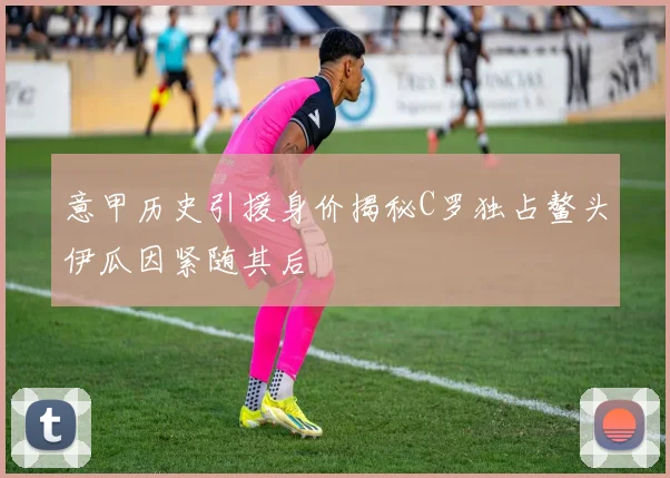 意甲历史引援身价揭秘C罗独占鳌头伊瓜因紧随其后
