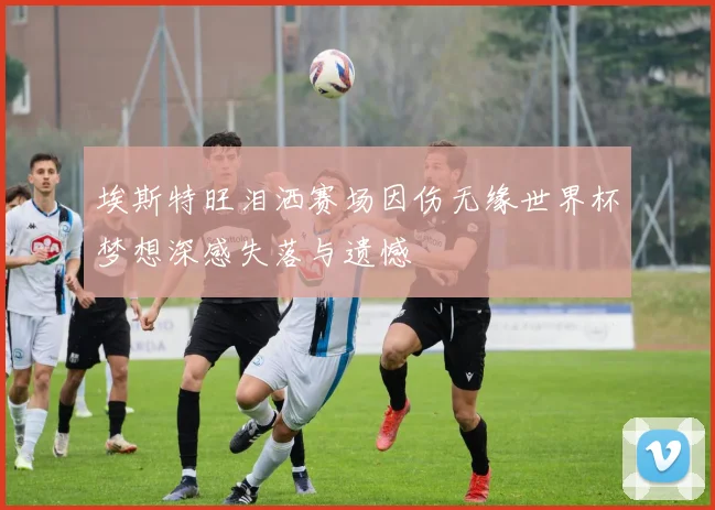 埃斯特旺泪洒赛场因伤无缘世界杯梦想深感失落与遗憾